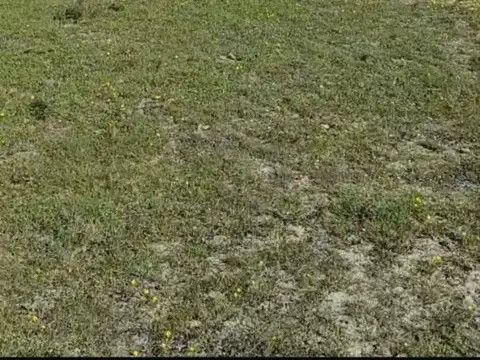 Campo en Alquiler en La Plata, Partido de La Plata