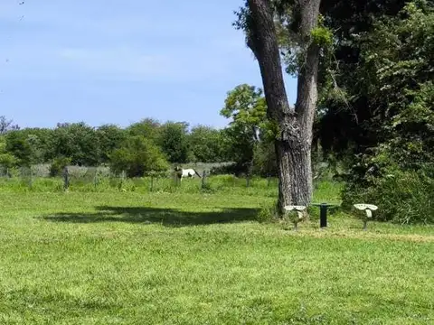 Campo en Venta en Los Cardales, Partido de Exaltación de la Cruz