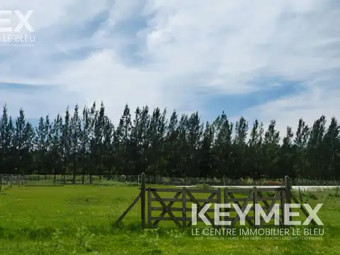 Terreno en Venta en Ruta 3 Kilómetro 75 700, Partido de Cañuelas