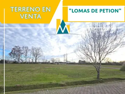Terreno en Venta en Alejandro Petion, Partido de Cañuelas