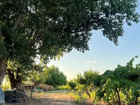 Campo en Venta en Alto Verde, San Martín