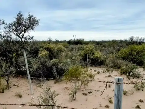 Campo en Venta en Costa de Araujo, Lavalle