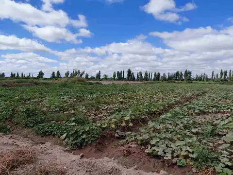 Campo en Venta en La Pega, Lavalle