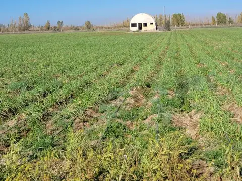 Campo en Venta en La Pega, Lavalle