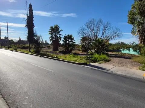 Campo en Venta en Los Corralitos, Guaymallén