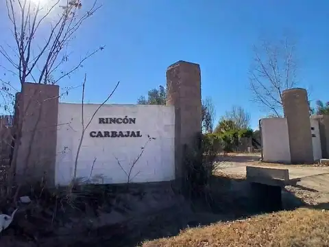 Terreno en Venta en La Colonia, Junín