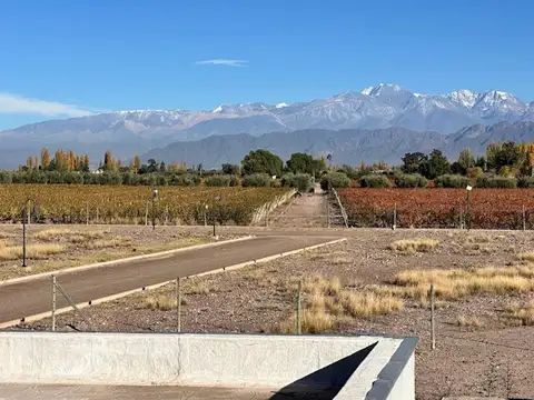 Terreno en Venta en Lunlunta, Maipú