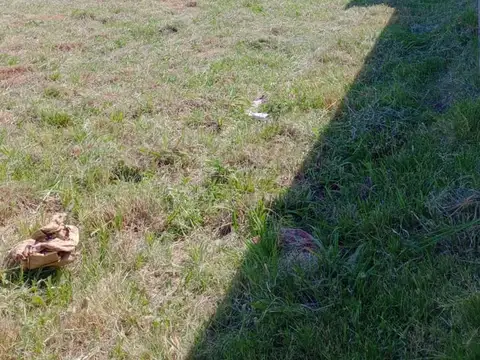 Terreno en Venta en San Francisco, San Justo