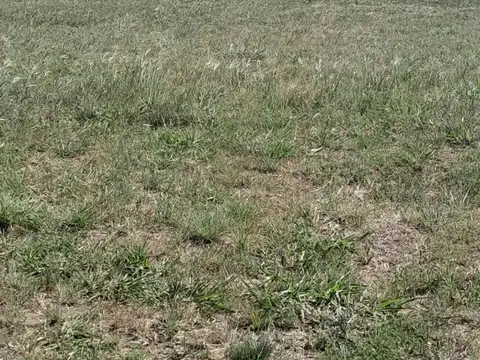 Terreno en Venta en San Francisco, San Justo