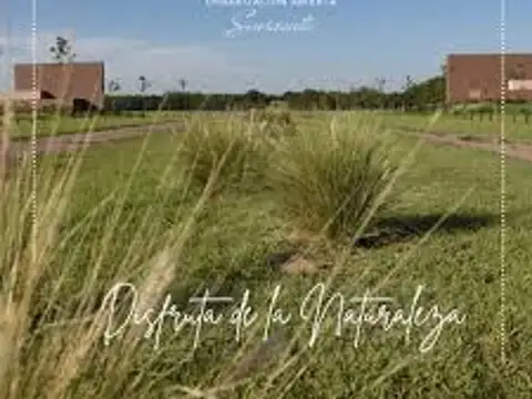 Terreno en Venta en Sinsacate, Totoral