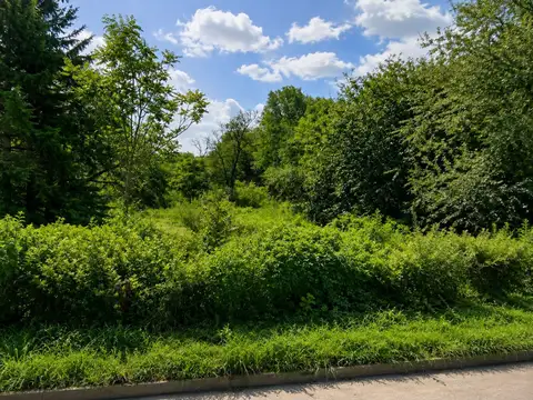 Terreno en Venta en Rio Ceballos, Colón