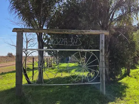 Campo en Venta en Progreso, Las Colonias