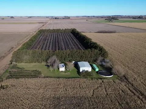 Campo en Venta en San Eduardo, General López