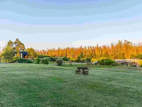 Terreno en Venta en Oliveros, Iriondo