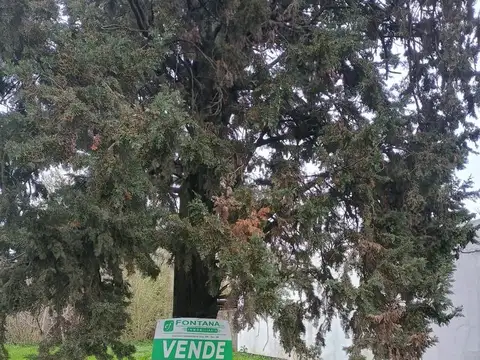 Terreno en Venta en Ricardone, San Lorenzo