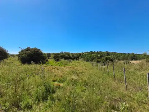 Terreno en Venta en Villa Berna, Calamuchita