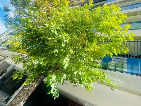 Departamento en Venta en Caballito Sur, Caballito