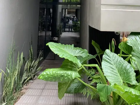 Departamento en Venta en Villa del Parque, CABA