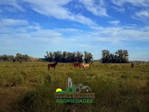 Campo en Venta en Los Cardales, Partido de Exaltación de la Cruz