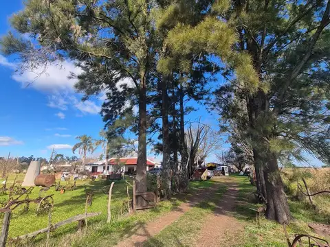 Campo en Venta en La Emilia, San Nicolas de los Arroyos