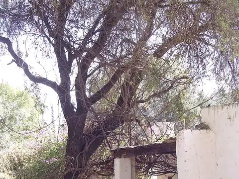 Casa en Venta en San Marcos Sierra, Cruz del Eje