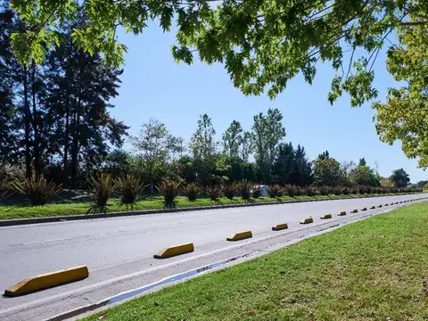 Terreno en Venta en Nordelta, Partido de Tigre