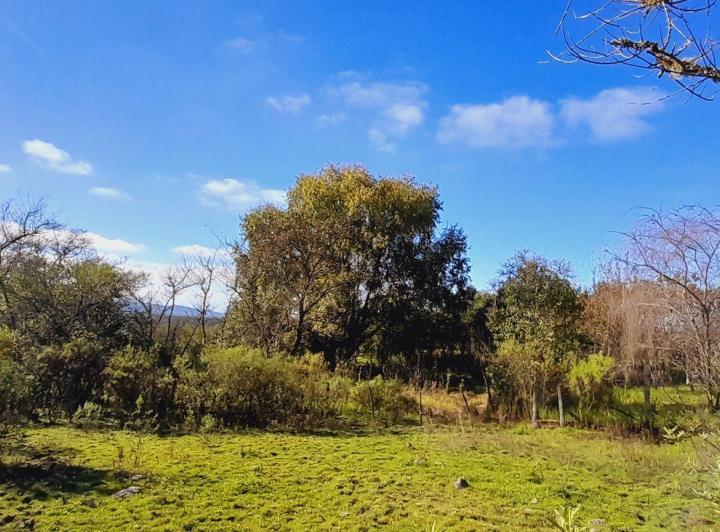 Terreno · 5817m²