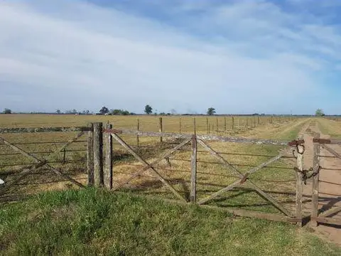 Campo en Venta en Perez, Rosario