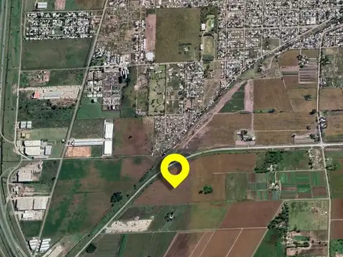 Campo en Venta en Alvear, Rosario