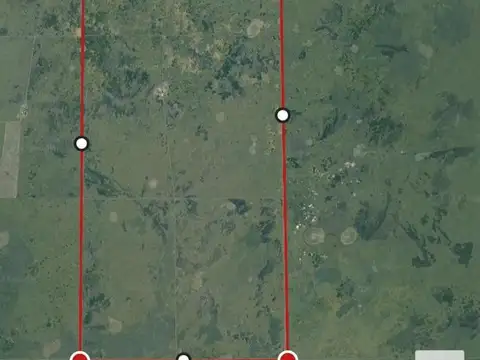Campo en Venta en Gato Colorado, 9 de Julio