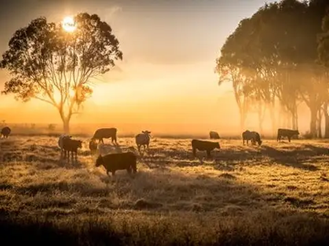 Campo en Venta en Logroño, 9 de Julio