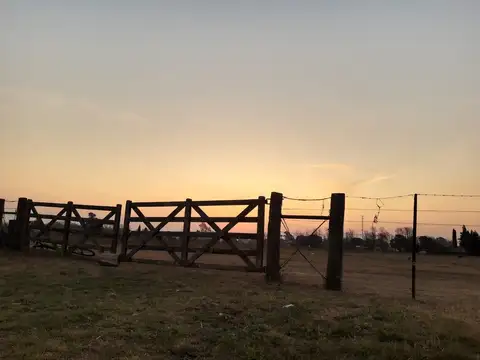Campo en Venta en Tostado, 9 de Julio