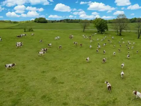Campo en Venta en Cayasta, Garay