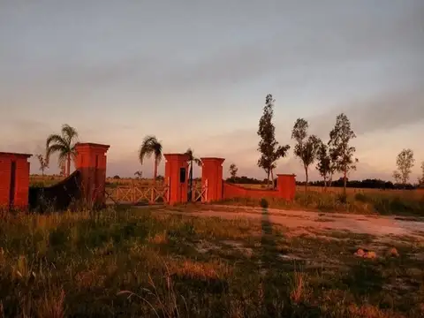 Campo en Venta en Las Avispas, San Cristóbal