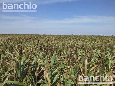 Campo en Venta en San Genaro, San Jerónimo