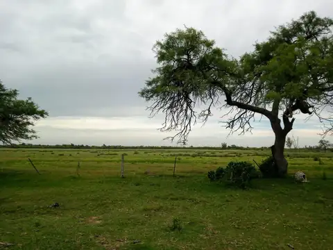Campo en Venta en Colonia la Nueva, Las Colonias