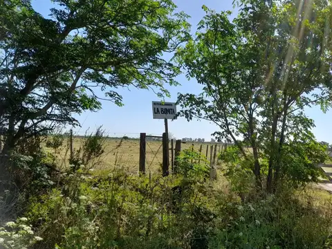 Campo en Venta en Bella Italia, Castellanos