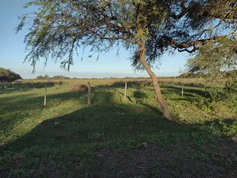 Campo en Venta en Calchaqui, Vera