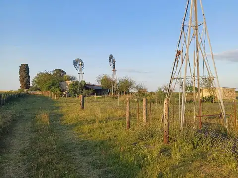 Campo en Venta en Soledad, San Cristóbal