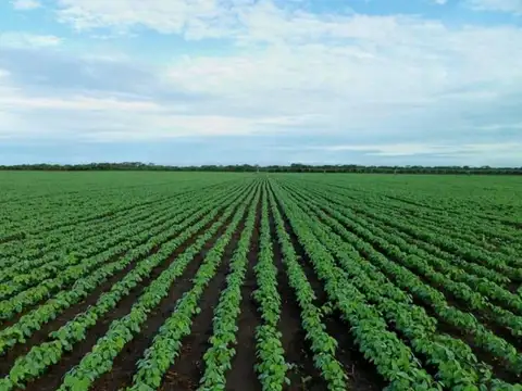 Campo en Venta en San Jose de la Esquina, Caseros