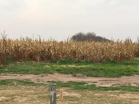 Campo en Venta en Pilar, Las Colonias