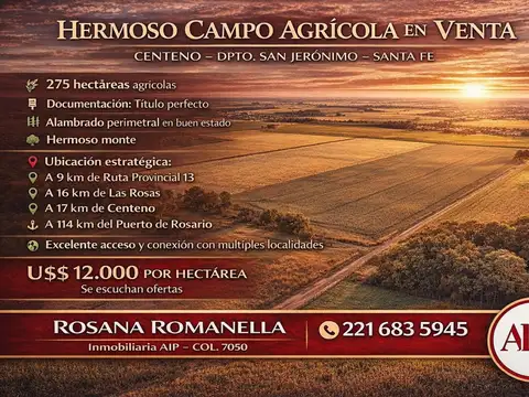 Campo en Venta en Centeno, San Jerónimo