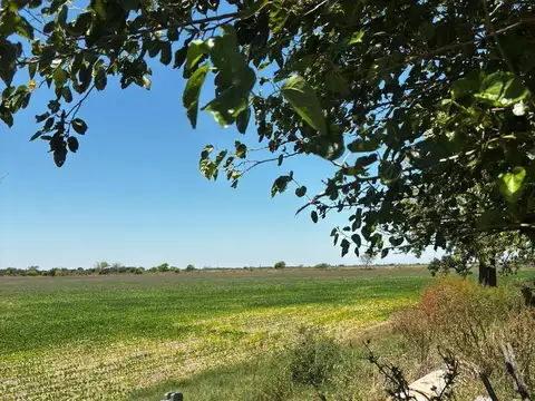 Campo en Venta en Esperanza, Las Colonias
