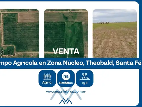 Campo en Venta en Theobald, Constitución