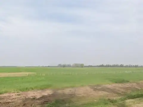 Campo en Venta en Lehmann, Castellanos