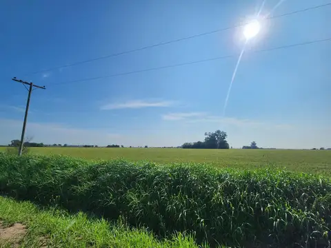 Campo en Venta en Arroyo Seco, Rosario