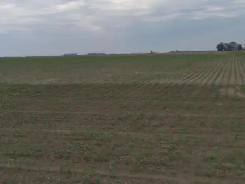 Campo en Venta en Villa Cañas, General López