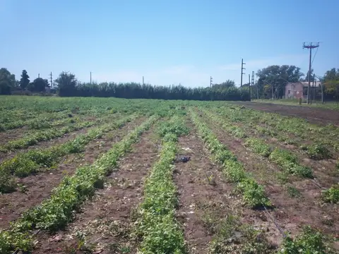 Campo en Venta en Rosario, Santa Fe