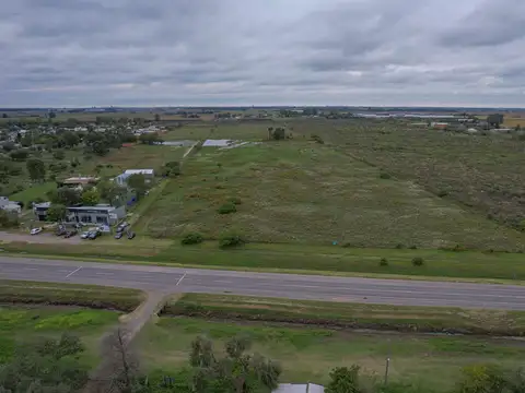 Campo en Venta en Alvear, Rosario