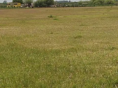 Campo en Venta en Pavon, Constitución